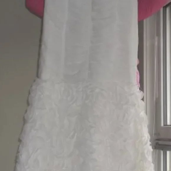 Gorgeous White Formal, Designer JPS from Nordstrom Perfect size 12 - Picture 2 of 3